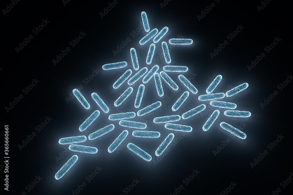 Enterobacteriaceae, gram-negative rod-shaped bacteria, part of intestinal microbiome and causative agents of different infections, 3D rendering. Escherichia coli, Klebsiella, Enterobacter and other Enterobacteriaceae, gram-negative rod-shaped bacteria, part of intestinal microbiome and causative agents of different infections, 3D rendering. Escherichia coli, Klebsiella, Enterobacter and other