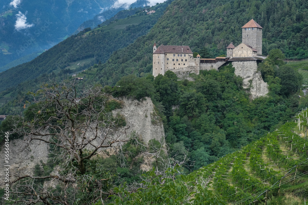 View of Tirolo medieval castle above Merano, built on top a rocky mountain terrace, as seen from the Apple Orchards trail above the town, Merano, South Tirol, Italy.