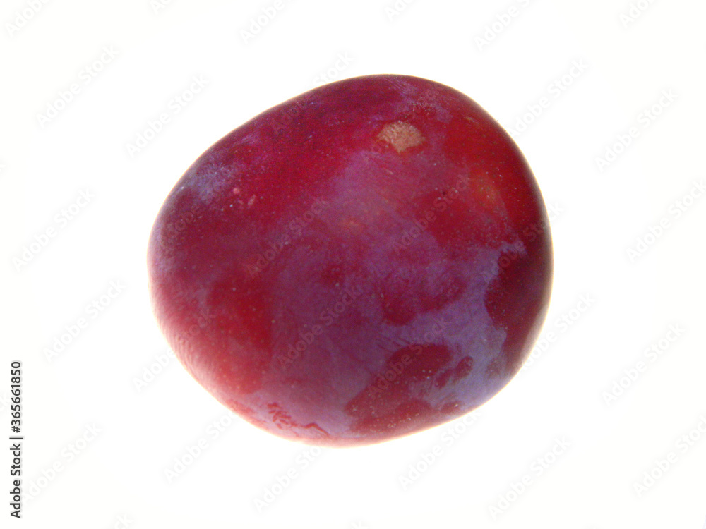 Obraz premium red plum isolated on white background