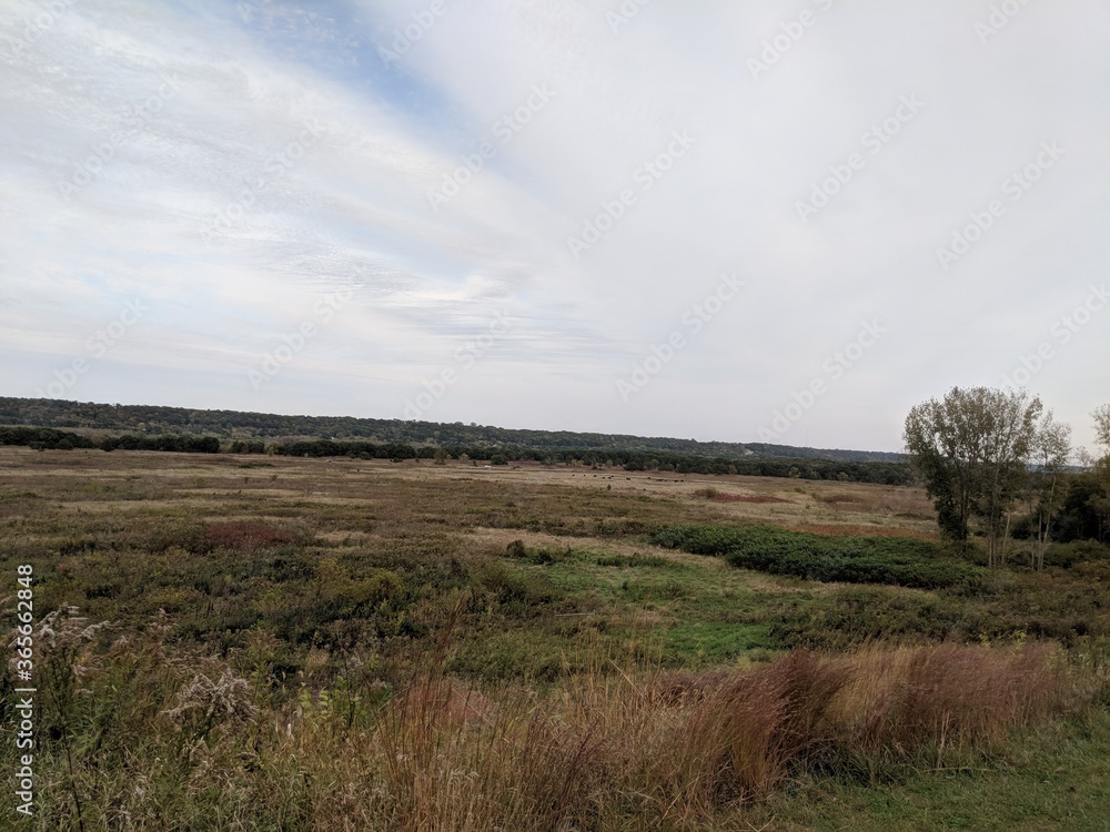 Where the buffalo roam the plains. Where the buffalo roam the plains.