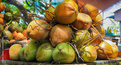 Fresh coconuts being sold in a roadside shop in Kochi, Kerala