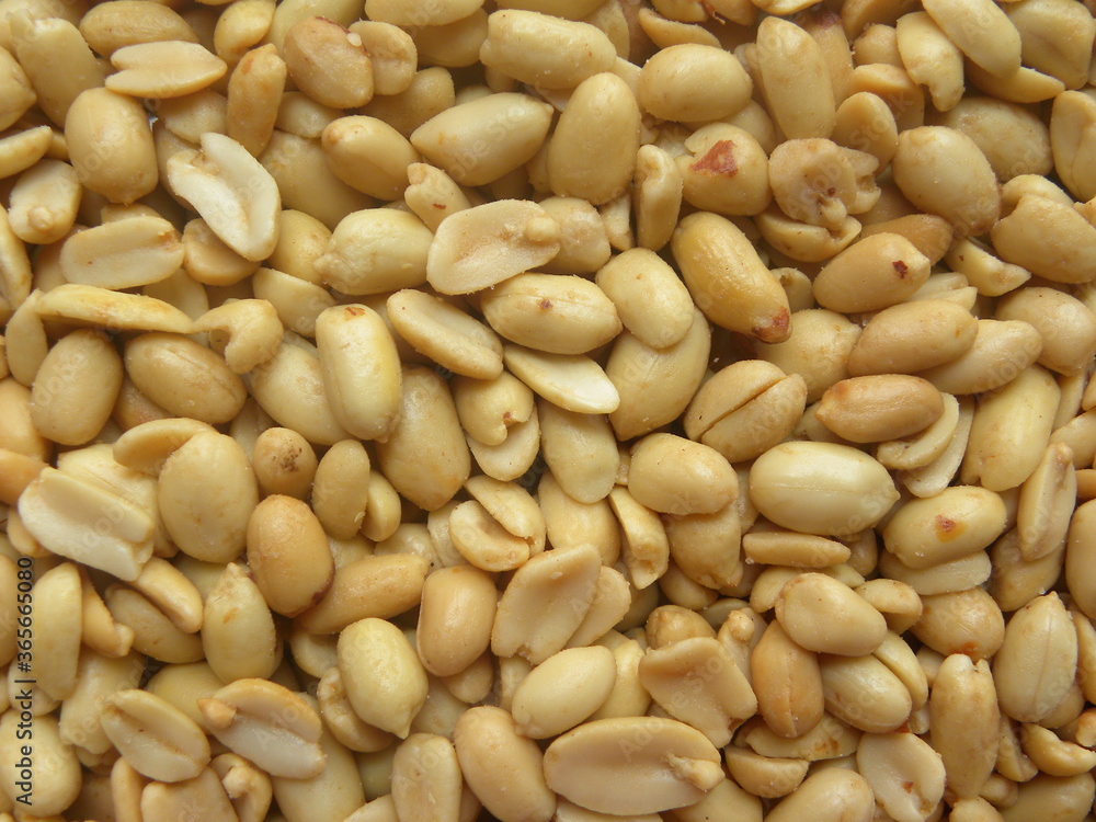 Brownish white color dry roasted and salted peanuts with skin removed Brownish white color dry roasted and salted peanuts with skin removed
