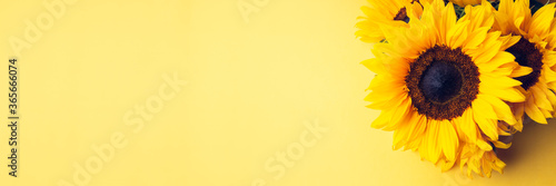 Yellow Sunflower Bouquet on bright Yellow Background, Autumn Concept, Top View, Space for Text, banner size