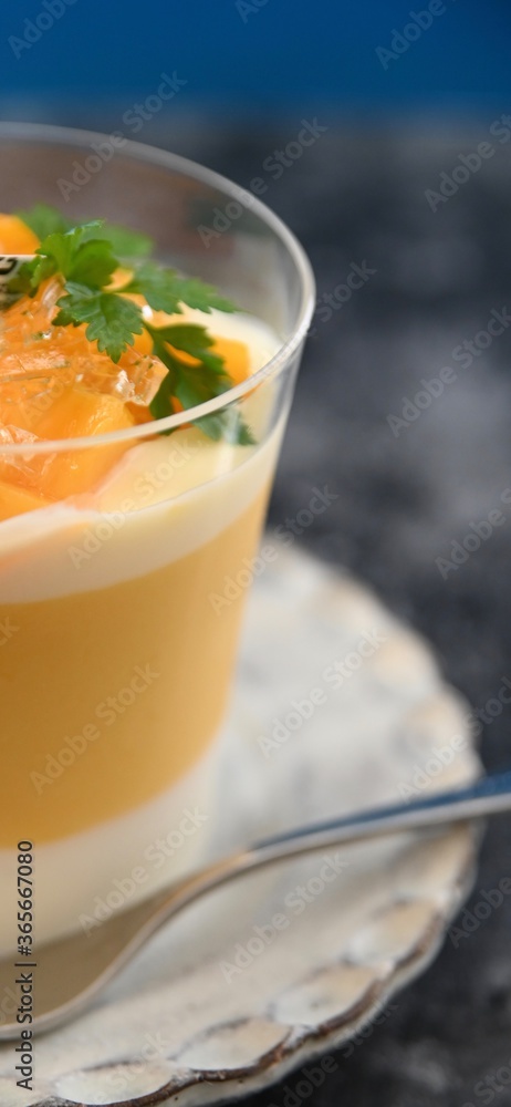 mango pudding mango pudding
