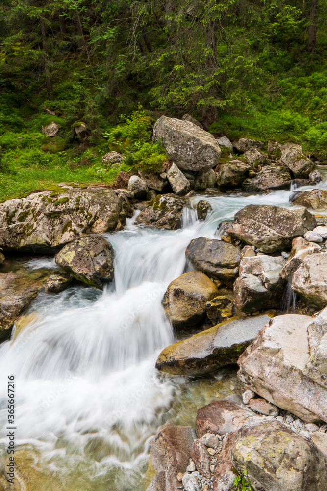 Mountain stream in green forest at spring time, slovakia tatras Mountain stream in green forest at spring time, slovakia tatras