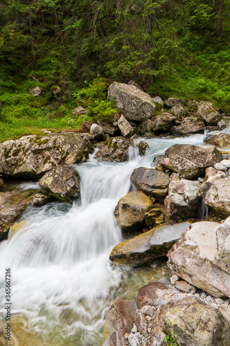 Mountain stream in green forest at spring time, slovakia tatras