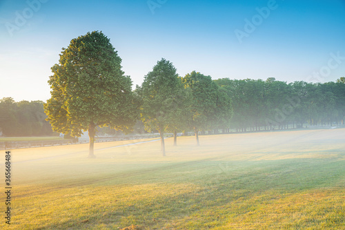 Petit matin sur les pelouses de Chantilly photo