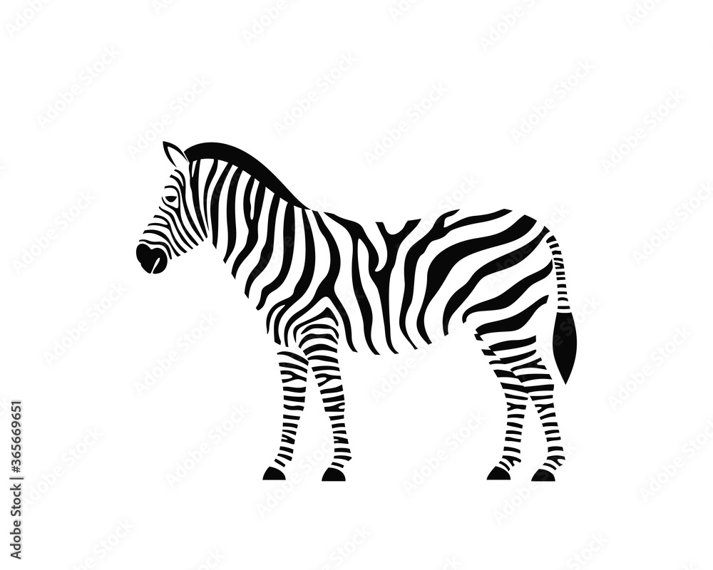 Zebra logo. Isolated zebra on white background - obrazy, fototapety, plakaty 