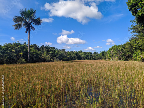 green field on the lake with blue sky