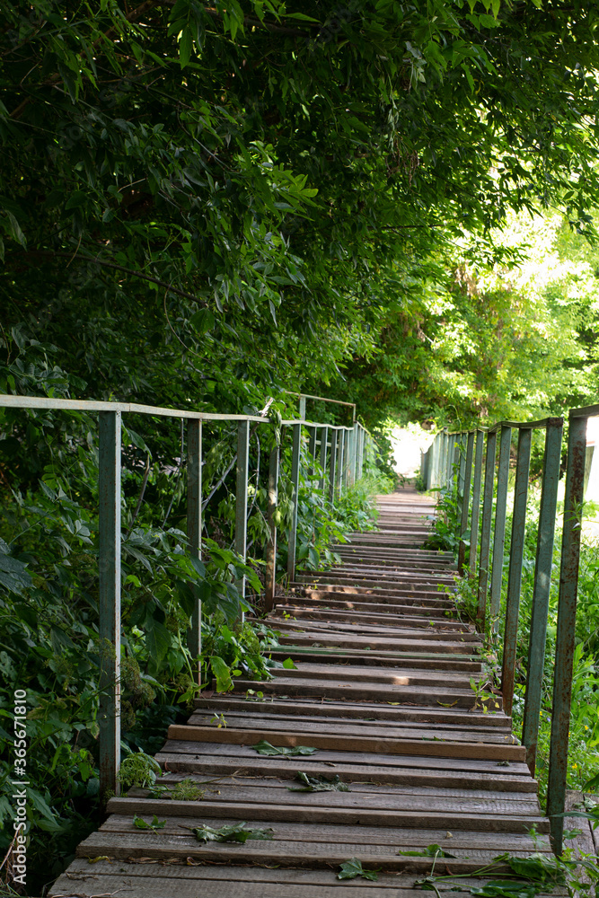 wooden stairs with iron railings along the thicket of trees and grass wooden stairs with iron railings along the thicket of trees and grass