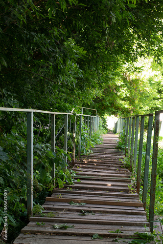 wooden stairs with iron railings along the thicket of trees and grass 