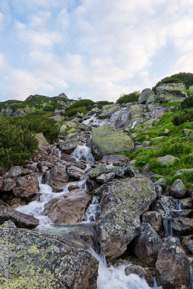 Mountain stream in green forest at spring time, slovakia tatras