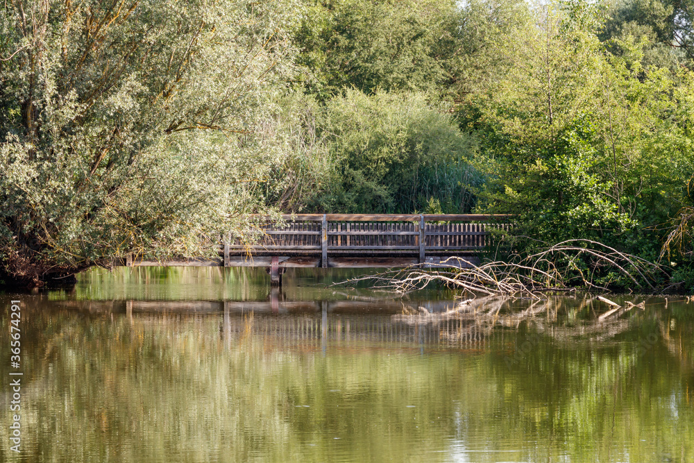 Altmühlsee, Vogelinsel