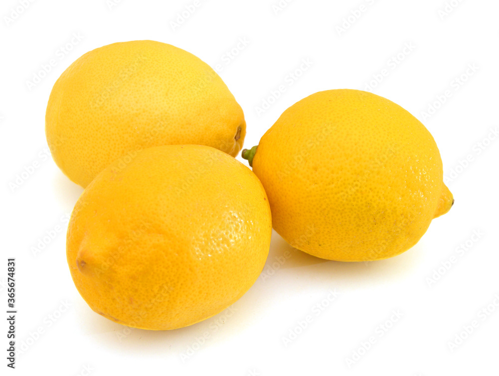 lemons isolated on a white background lemons isolated on a white background
