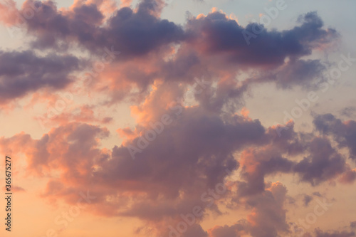Background of fluffy clouds on a blue sky. Soft evening light illuminates the clouds.