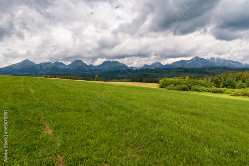 High Tatra mountain summer landscape. meadow with huge stones among the grass on top of the hillside near the peak of mountain range at sunset  slovakia tatras mountains