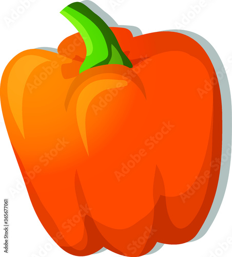 Yellow Orange Capsicum- vector vegetable