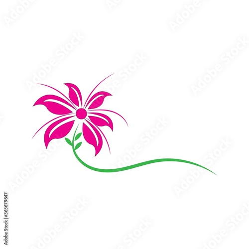 Fototapeta Naklejka Na Ścianę i Meble -  Beauty Lotus Logo