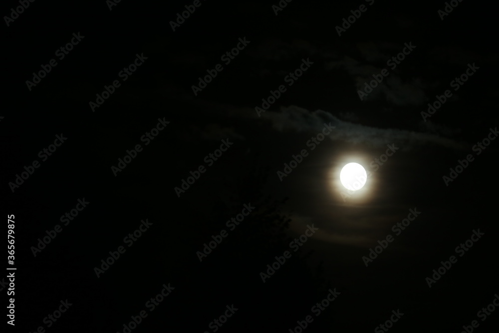 moon in the night sky moon in the night sky