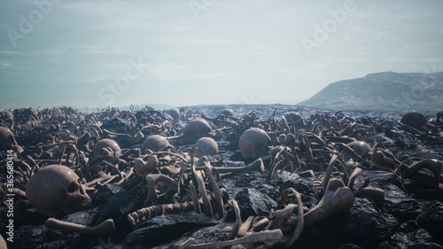 Quadro em tela Old human skulls and bones left over from the battle