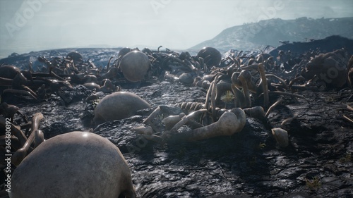 Old human skulls and bones left over from the battle. The concept of war and the Apocalypse. 3D Rendering