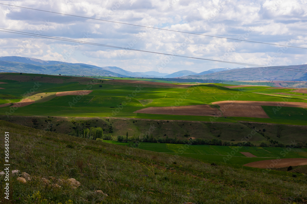 Agricultural fields with partly shadows of clouds