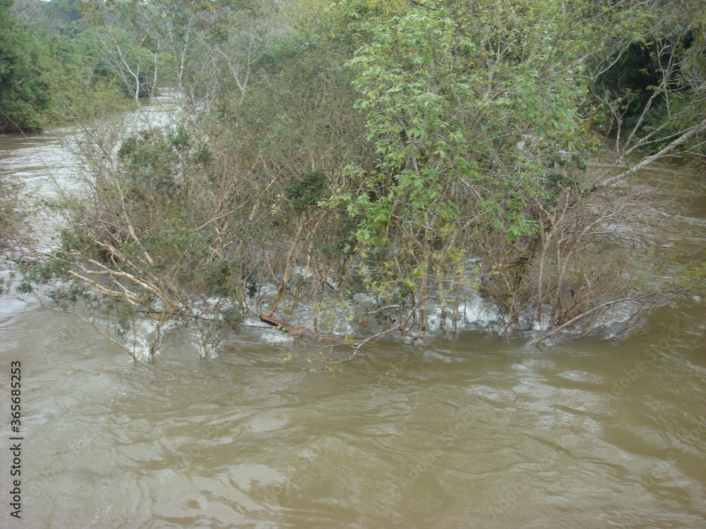 water flowing into the river water flowing into the river