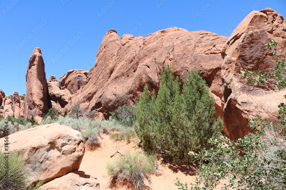 Fototapeta premium Landscape Arch Devil's Garden Trail, Arches National Park