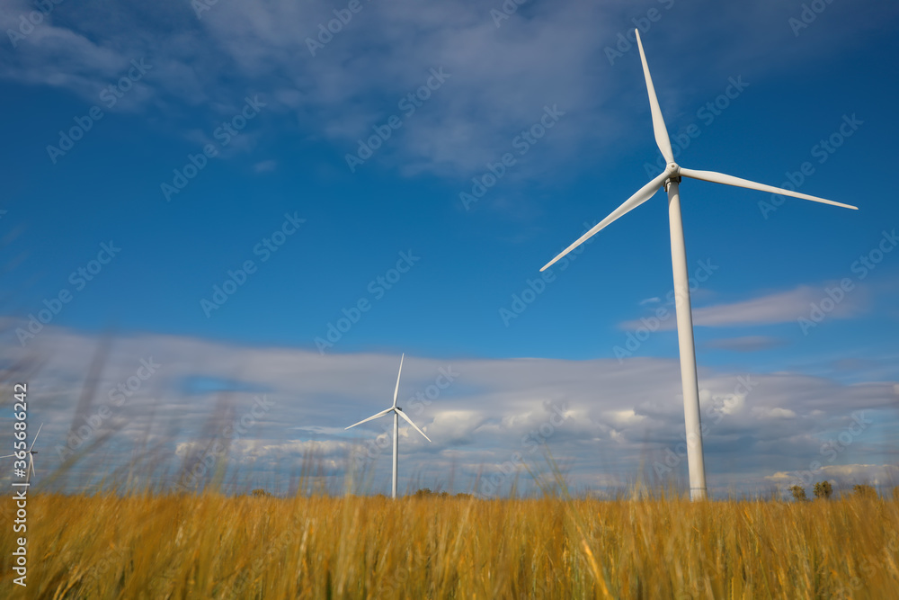 Beautiful view of field with wind turbines. Alternative energy source Beautiful view of field with wind turbines. Alternative energy source