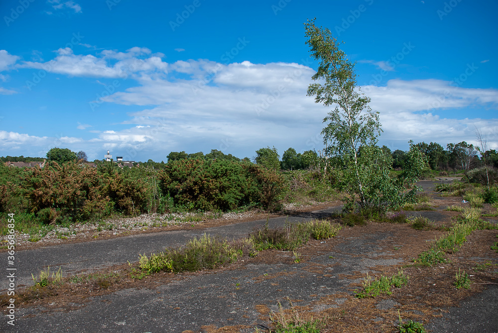 The overgrown remains of a runaway of an old air force base in Suffolk, UK