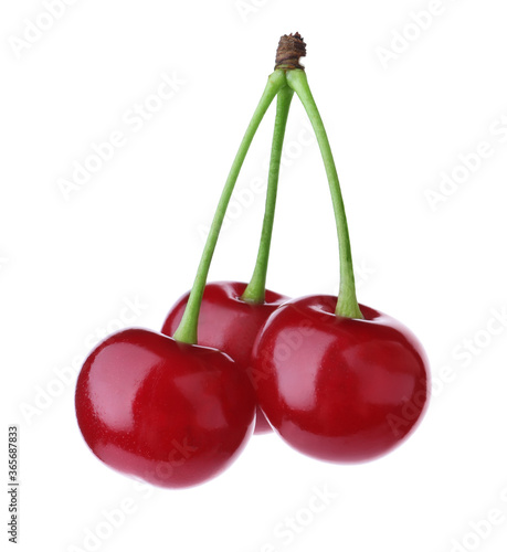 Delicious ripe sweet cherries isolated on white