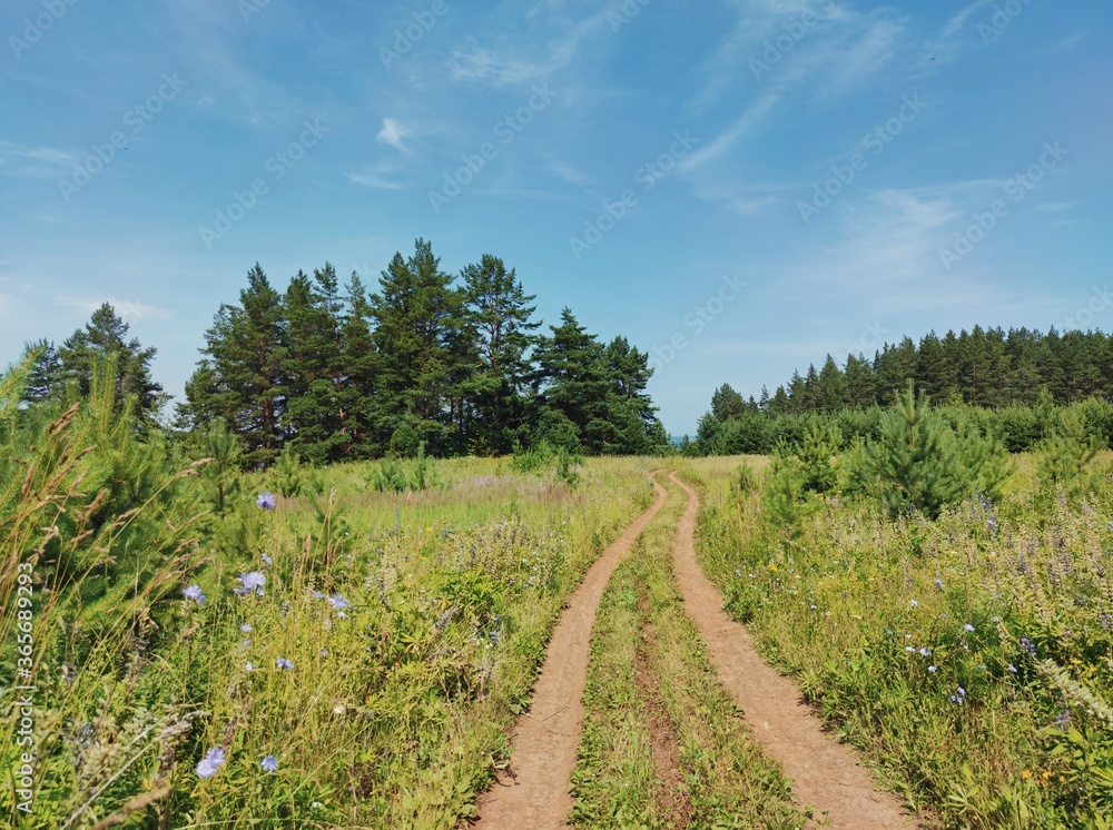 winding road in a field near the forest on a sunny day winding road in a field near the forest on a sunny day