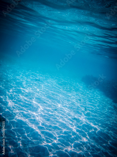 amazing blue underwater world banner