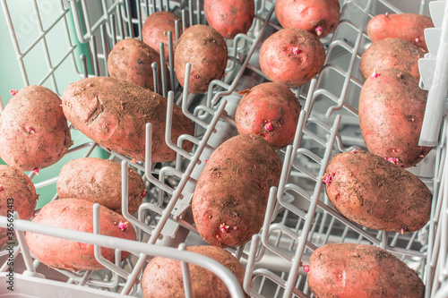 Dirty potatoes lie in the dishwasher