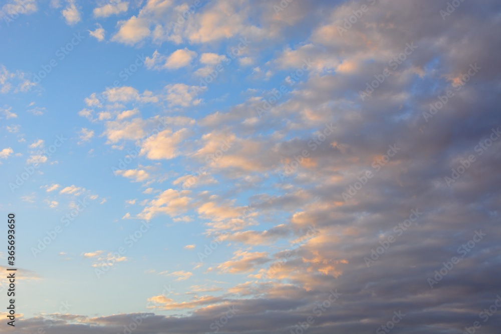 Evening sky with floating white clouds at sunset. The background.