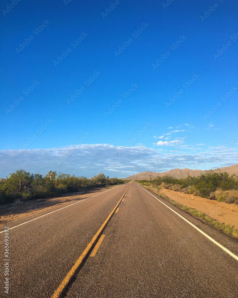 Obraz premium road in the desert