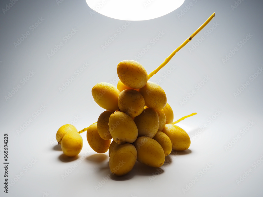 Yellow date palm Isolated on white light background. Yellow date palm Isolated on white light background.