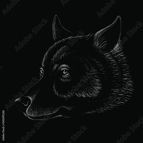 The Vector logo dog  or wolf for tattoo or T-shirt design or outwear.  Cute print style dog  or wolf  background. This drawing would be nice to make on the black fabric or canvas.