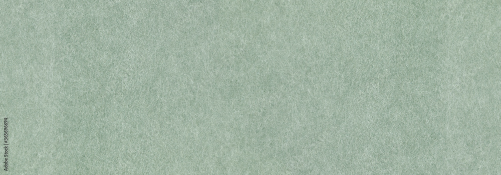 Fototapeta premium Green paper texture background