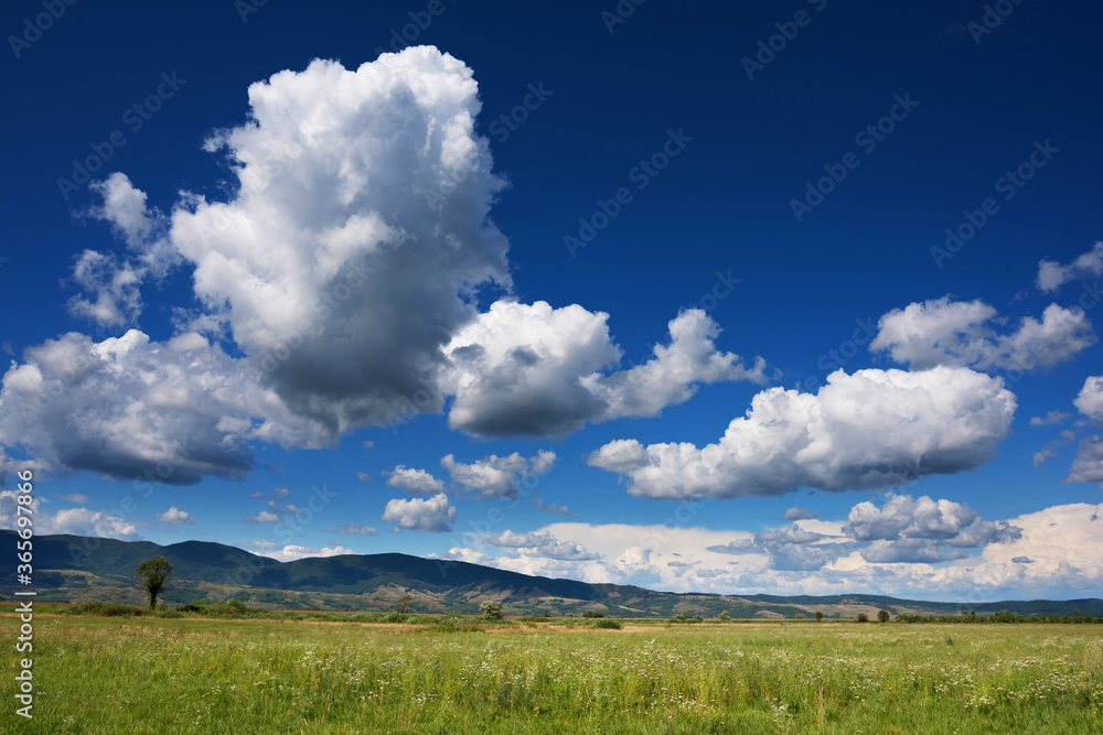 Summer field landscape. Agriculture field with cloudy sky - Rural nature in the farm land