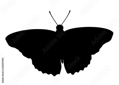 Butterfly. Vector image.