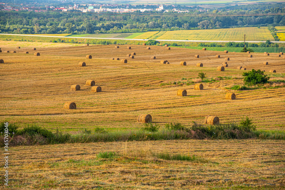 Morning landscpe view from the hill Morning landscpe view from the hill