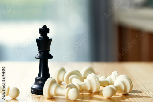 Knight of chess win   Leader success concept