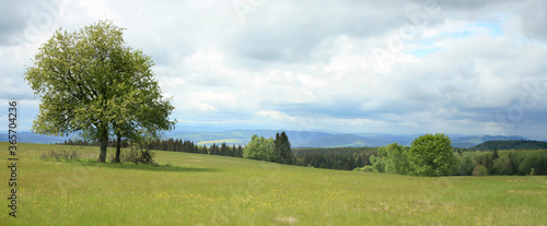 Natural landscape in the Table Mountains National Park in Poland. Wild meadows and forests in the mountain range.