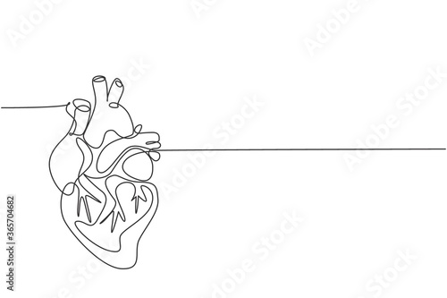 One continuous line drawing of anatomical human heart organ. Medical internal anatomy concept. Modern single line draw trendy design vector illustration