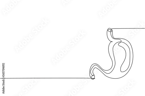 One continuous line drawing of anatomical human stomach organ. Trendy medical internal anatomy concept. Single line graphic draw design vector illustration