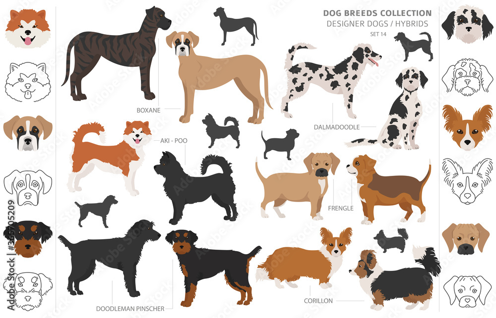Are Designer Dogs Mixed Breed
