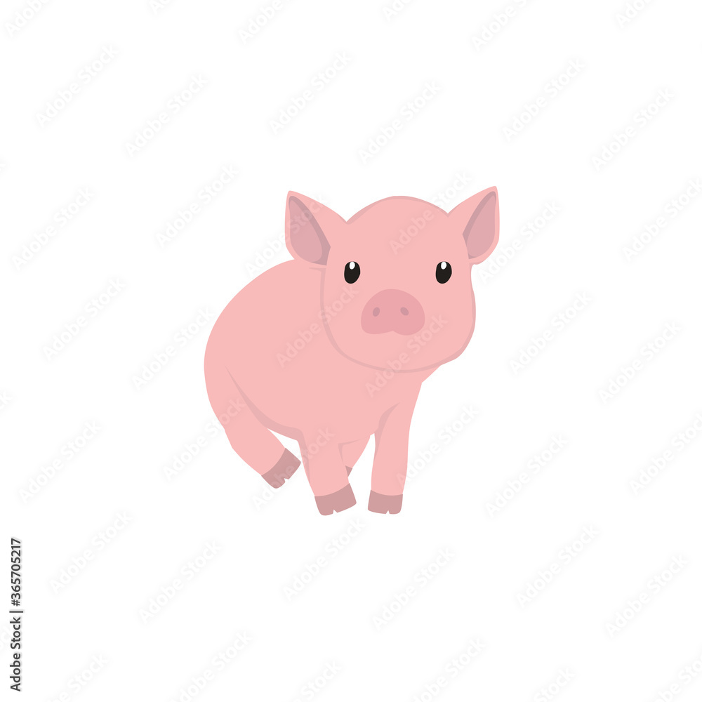 Pig Illustration Pig Illustration