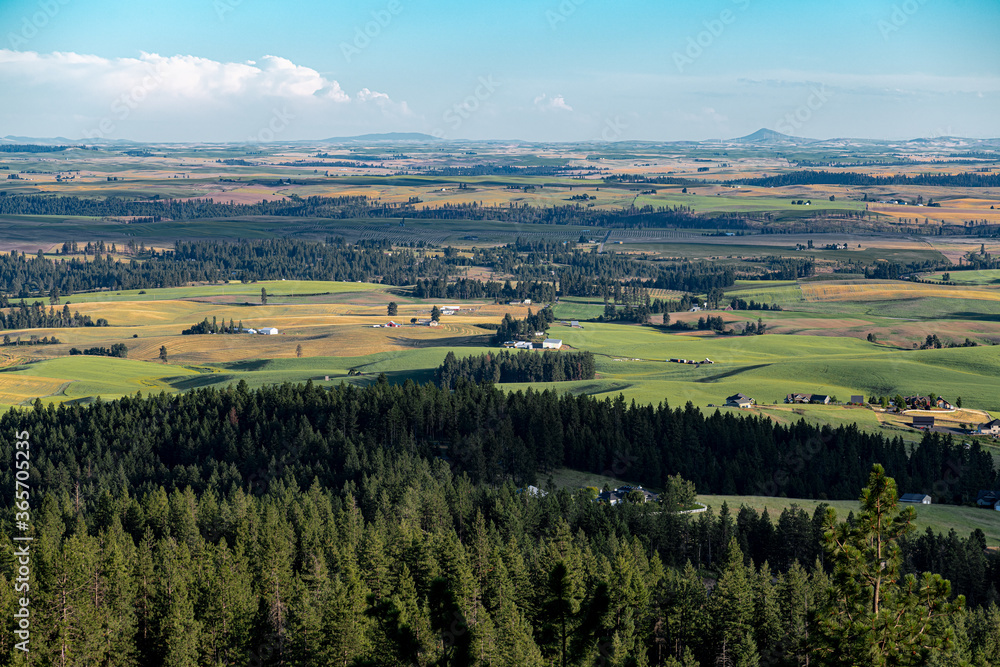 Iller Creek Conservation Area, Spokane, WA, with View onto the Palouse