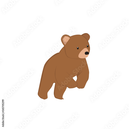 Bear Illustration